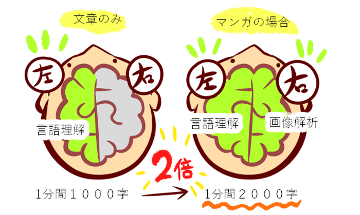 左脳・右脳と1分あたりの情報処理量